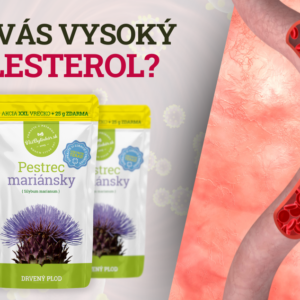 Vysoký cholesterol a drvený pestrec mariásnky